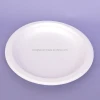 6" Party Plate Biodegradable Disposable Sugarcane Bagasse Pulp Food Dessert Dish for Eco-06