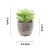 Import 6 Pcs Assorted Potted Succulents Plants Decorative Artificial Succulent Plants from China
