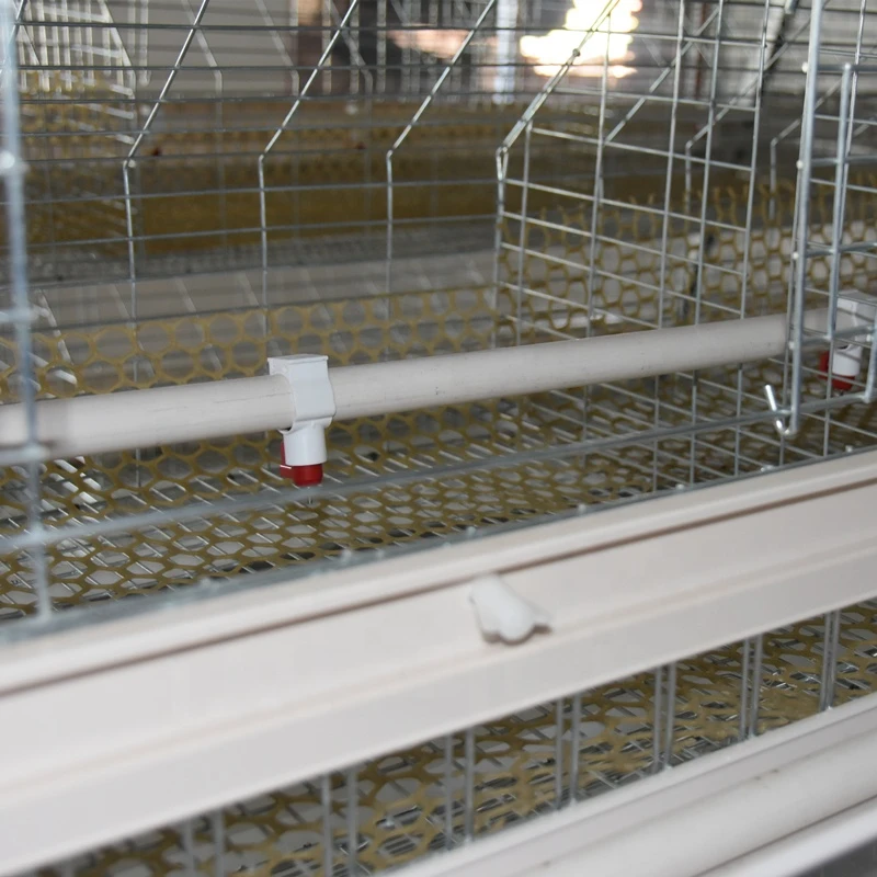 A type battery small chicks cage for chicken house