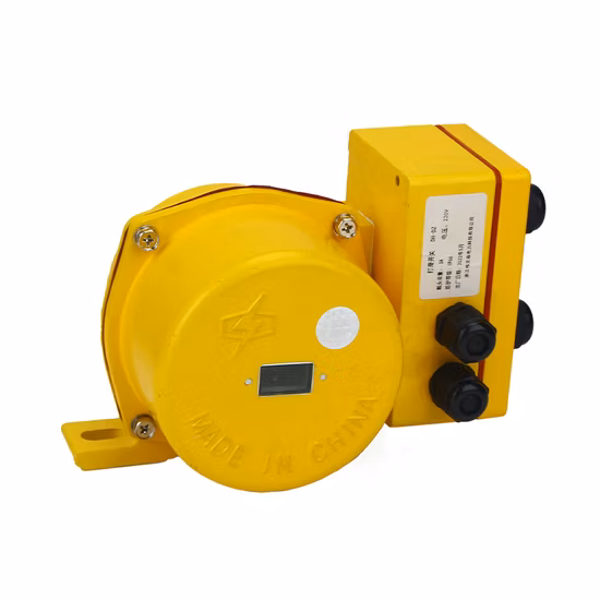 AC220V Address Code Deviation Switch Dz-Klt2 Switch Belt Sway Switch 2no 2nc