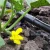 Import Agricultural products plastic pipe tool hose garden dripper pipe from China