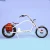 OEM Vintage 800W Modern Adult Europe Classical Electric Bicycle At Low Prices