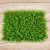 Import Amazon Top Seller Plastic Artificial Plants For Background Decoration Simulation Milan Yugari Grass Wall from China