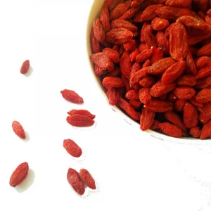 Anti Aging Fruits Lycium Benefits of Goji Berries From China Original