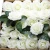 Import Artificial Flowers Blush Roses 25pcs Roses w/Stem for DIY Wedding Bouquets Centerpieces Arrangements from China