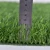 Import Artificial Grass Artificial Carpet Grass Soccer Synthetic Turf Landscaping PP+MESH+SBR 20-40mm 500 Sqm Binteng 8800D BT103 PP+PE from China
