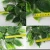 Import artificial green leaves / fake Cinnamomum camphora leaves from China