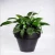 Import AYU26-010 wholesale cute rectangular plastic flower pot for balcony plant from China