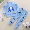Baby Clothing Sets Autumn Baby Girs Clothes Infant Cotton Girls Clothes Tops +Pants 2pcs Underwear Outfits Kids Clothes