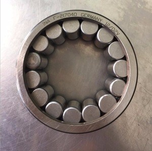 bearing F-219590 Cylindrical Roller Bearing without Outer Ring F 219590