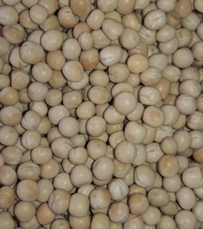 Best Premium-Quality Navy Pea Beans White Pea Bean White Matar