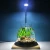 Import Best Price Aquarium Cob Full Spectrum  Led Aquarium Light With High Quality from China
