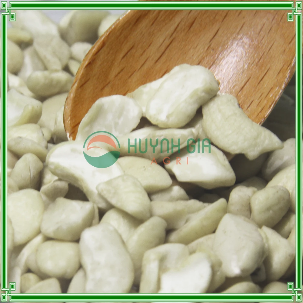 BEST PRICE FOR RAW PRODUCT - BROKEN PIECES CASHEW NUTS WS/LP/SP/BB FROM VIETNAM WITH HIGH QUALITY