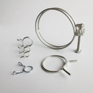 Best price galvanized steel spring band screw double wire hose clamps in China