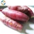 Import Best Product Best Quality Best Price Wholesale Vietnam Purple Honey Fresh Sweet Potato from Vietnam