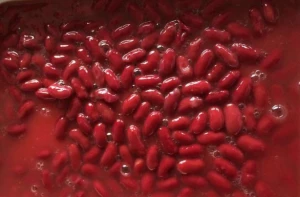 Best Quality Canned Red Kidney Beans in Brine 400 g 800 g 3000 g
