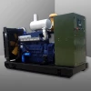 Biogas/natural gas generator 100kw for alternative energy project