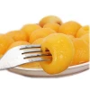 Canned fruit canned loquat ingredients fruits