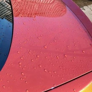 Car Body Paint Protection Coating
