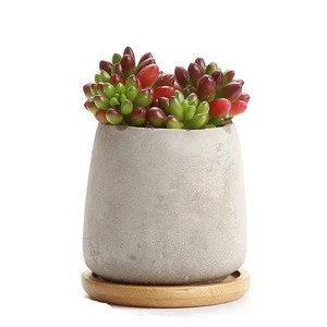 Cement Sucuulent Cactus Plant Pots Flower Pots Planters Containers With Bamboo Tray