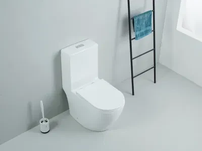 Ceramica Portable Toilet Bathroom Vanity Cabinets Rimless One Piece Toilet Accessories