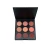 Import Charms Face Makeup 9 Color High Pigmented Customize Private Label Blush Palette from China