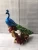 Import Cheap Price Customized Decorative Resin Peacock Statue from China