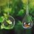Import Cheap wholesale borosilicate glass hanging terrarium glass vase for plants and decoration accessories from China