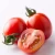 Import Cherry Fresh Tomato ( Red Yellow Black Green Orange Color ) from South Korea