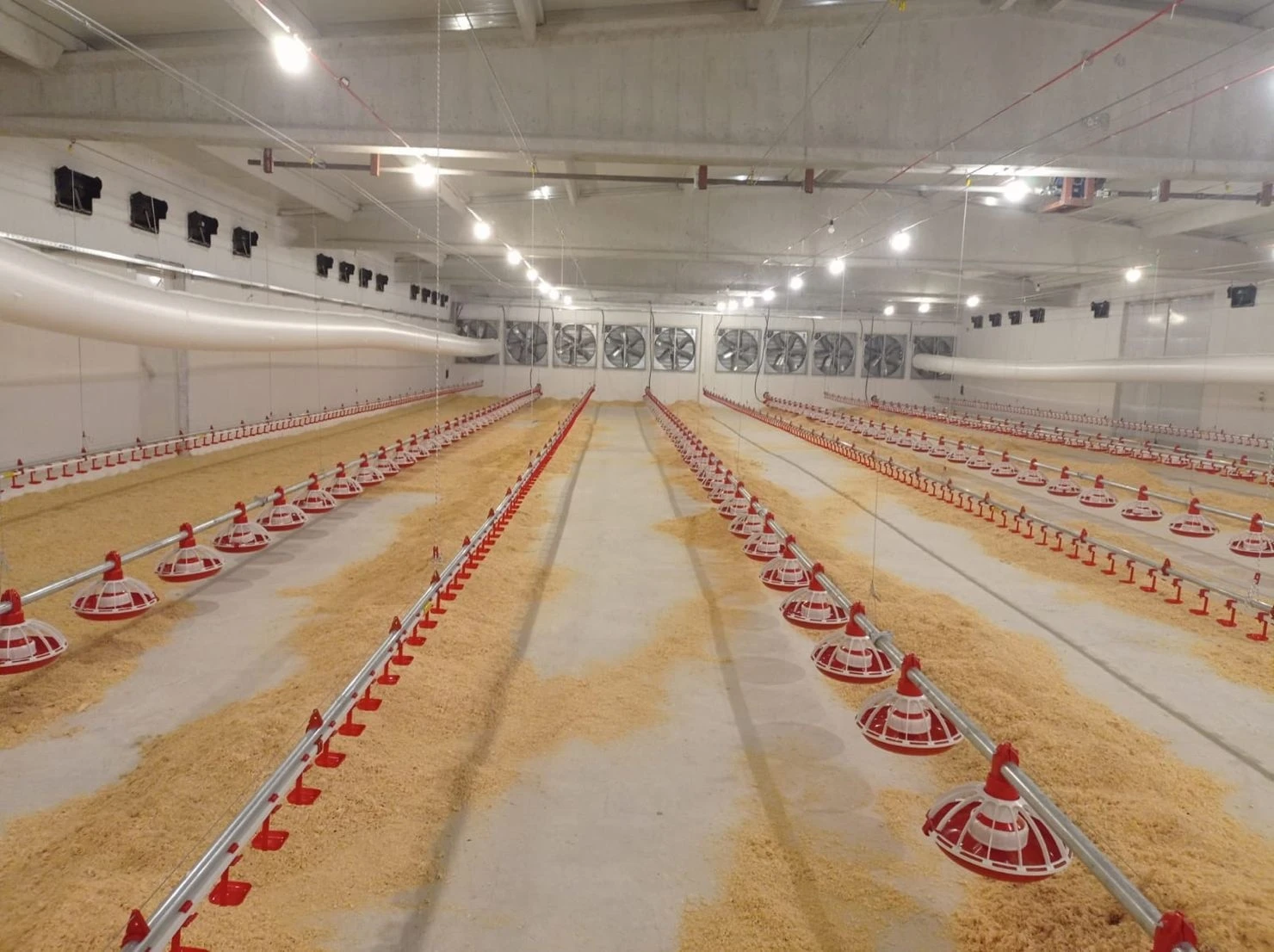 Chicken Feeder Plastic Poultry Feed Line Rearing Chicken Feeding Line