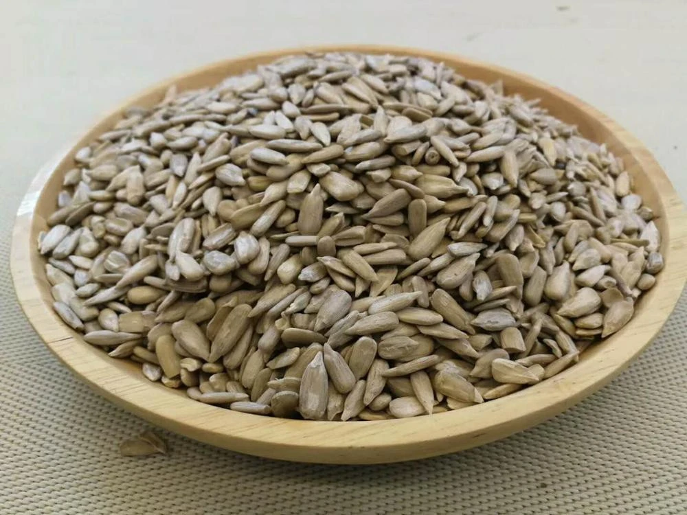 Chinese Bread Level Raw Sunflower Seeds Kernel in Good Price