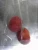 Import Chinese delicious fruits clean iqf frozen plum from China