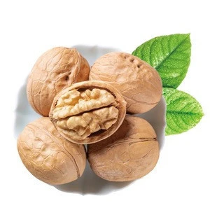 Chinese organic walnut in shell best price for sale