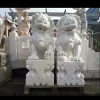 Chinese traditional foo dog statue, lion statue, animal statue