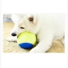 Classic OEM Manufacturers Professional Wholesale Interactive Pet Toy Tennis Ball Dog Chew Toy Ball