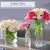 Import  crystal square glass flower vases for home decor from China