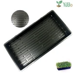Dairy fodder cultivating barley bean sprouts growing tray, nursery seed trays