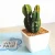 Import Desk decoration mini size artificial Tropical plants plants from China