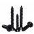 Import DIN7982  grade8.8 black oxide coating Cross recessed countersunk head tapping screws from China