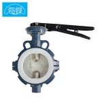 DN40-DN1200 D7A1FA Ductile Iron 4 Inch PTFE Acid Resistant Manual Butterfly Valve