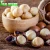 Import Dried Best Quality Macadamia Nuts From Vietnam in Both Fresh and Organic Form from Vietnam