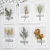 Import Dry flower folding card greeting cards from China