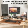 Dual Monitor Stand Riser, Computer Stands for 2 Monitors, Extra Long Multifunctional Desktop Organizer Riser for Laptop