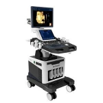 DW-VET12 3D 4D color doppler ultrasound machine instrument for veterinary