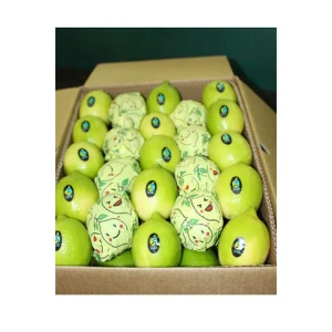 Egypt Fresh Lemon Fresh Lime Fruit Seedless Lime