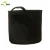 Import Factory Directly Sell 2 Gallon Lavender Plant Seeds Felt Grow Bag For Succulent Plant from China