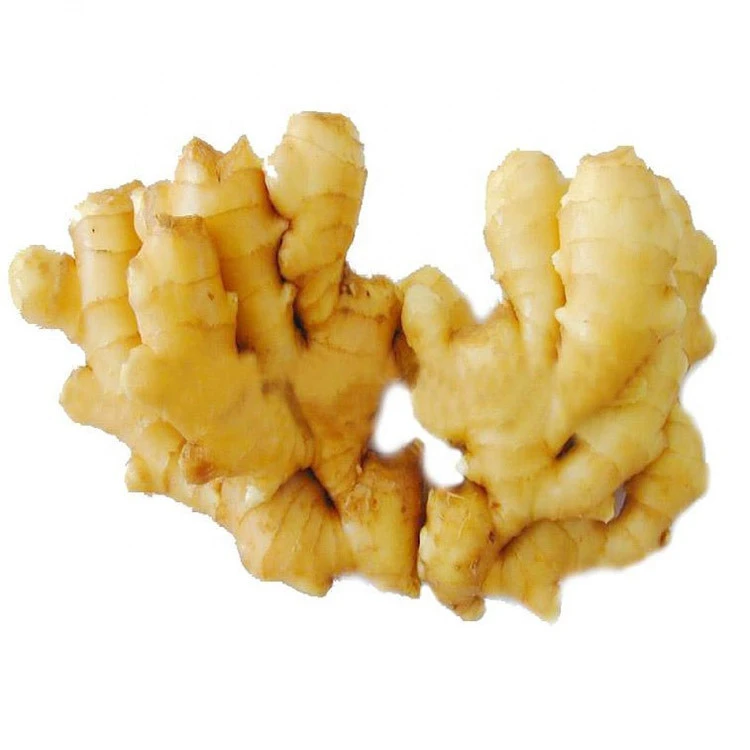 Factory Fresh Air Dry Ginger For Large Business Super