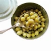 High Quality Green Peas Types of Fresh Vegetable in Brine 400g Canned Pack