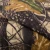 Import fashion camouflage clothing fabric 65%polyester 35%cotton digital printed camouflage military printed T/C fabric from China