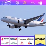 Fast logistics shipping air freight from china to malaysia ddp dropshipping service